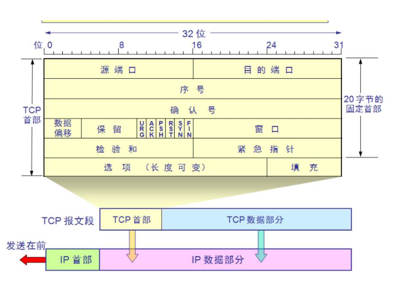 TCP报文格式.png