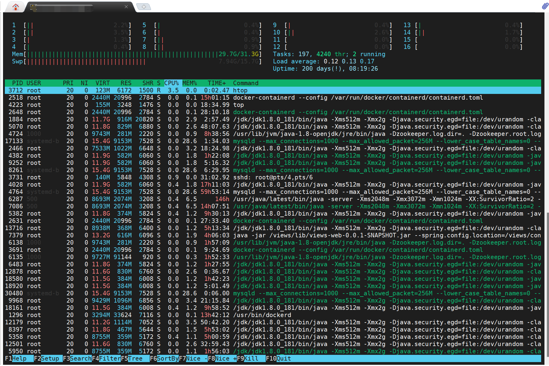 htop.png